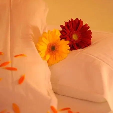 Otel Etrusco Rio Marina