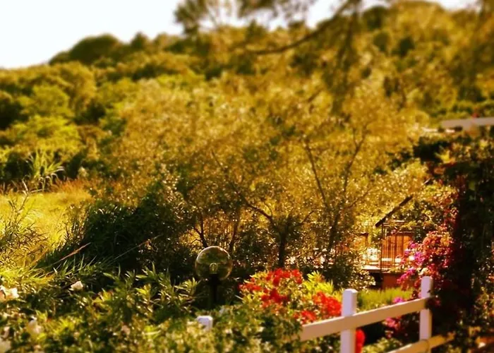 Etrusco リオ・マリーナ