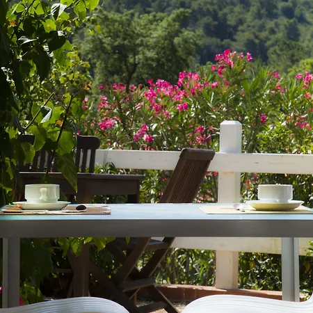 Hotel Etrusco Rio Marina