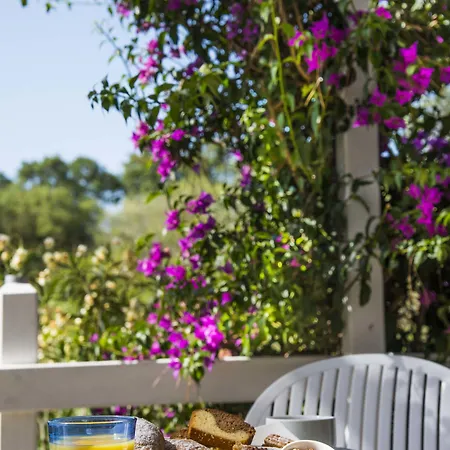 Etrusco 2* Rio Marina