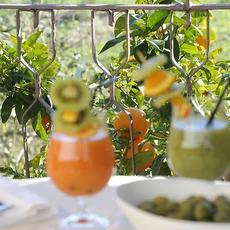 Hotel Etrusco Rio Marina