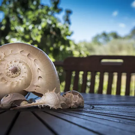 Etrusco Hotel Rio Marina