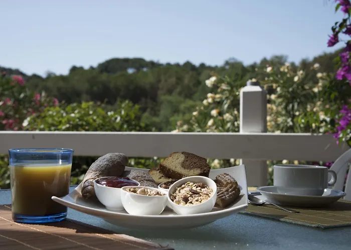 Etrusco Отель Рио-Марина