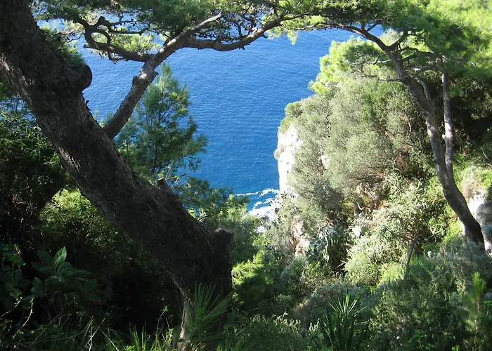 Etrusco Отель 2*