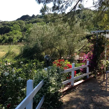 Etrusco 2*