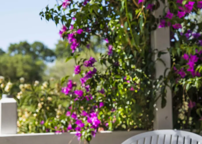 Etrusco 2* Rio Marina