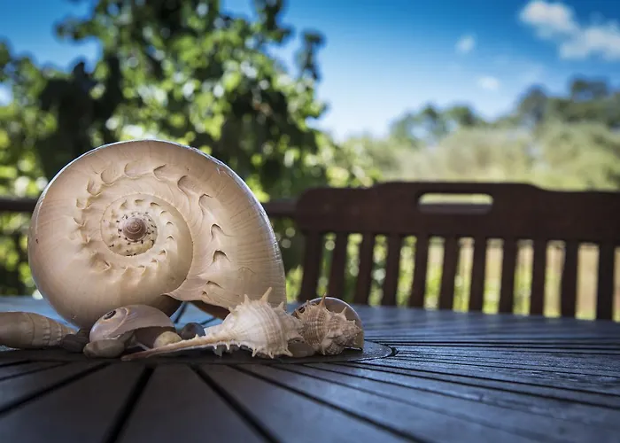 Etrusco Hotel Rio Marina